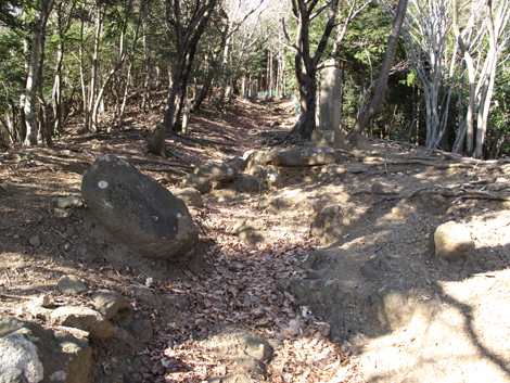 20170126hike (309)